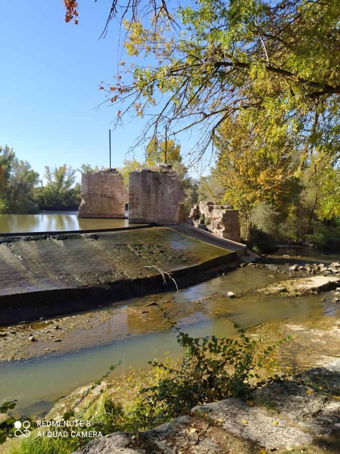 فيلا Casa Vainilla San Miguel del Pino المظهر الخارجي الصورة